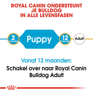 Royal Canin Hondenvoer Droog English Bulldog Puppy 3 kg