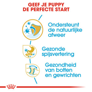 Royal Canin English Bulldog Puppy Hondenvoer 12 kg