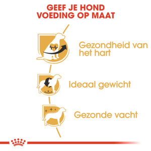 Royal Canin Hondenvoer Droog Cavalier KC Adult 1,5 kg