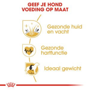 Royal Canin Hondenvoer Droog Golden Retriever Adult 3 kg
