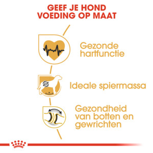 Royal Canin Rottweiler Adult Hondenvoer 12 kg