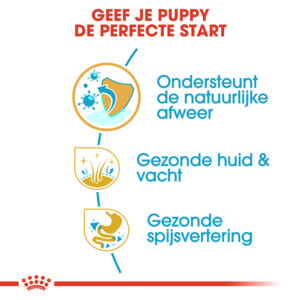 Royal Canin Hondenvoer Droog Shih Tzu Puppy 1,5 kg