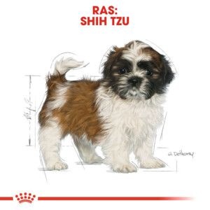 Royal Canin Hondenvoer Droog Shih Tzu Puppy 1,5 kg