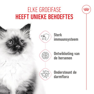 Royal Canin Kattenvoer Droog Kitten 2 kg