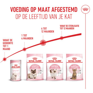 Royal Canin Kattenvoer Droog Kitten 2 kg