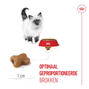 Royal Canin Kattenvoer Droog Kitten 400 gr