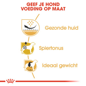 Royal Canin Hondenvoer Droog Pug Adult 1,5 kg