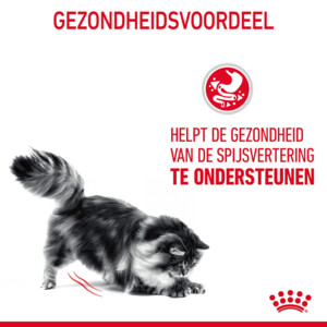 Royal Canin Kattenvoer Droog Digestive Care 2 kg