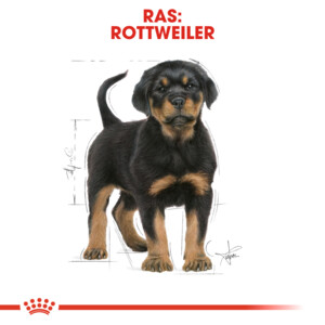 Royal Canin Hondenvoer Droog Rottweiler Puppy 3 kg