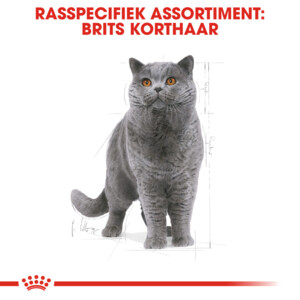 Royal Canin Kattenvoer Droog British Shorthair Adult 2 kg