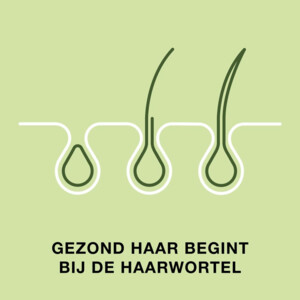 Priorin Haar - 46.49 euro