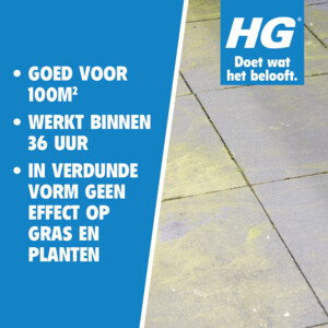 HG Groene Aanslagreiniger - 9.29 euro