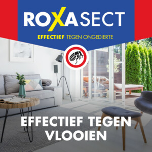 Roxasect Spray tegen Vlooien - 9.59 euro