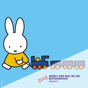 Dagravit Kids Vitamine D - 11.19 euro