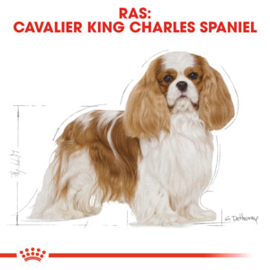 Royal Canin Hondenvoer Droog Cavalier KC Adult 7,5 kg