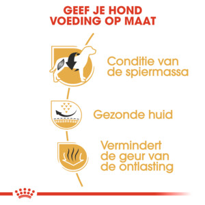 Royal Canin Hondenvoer Droog French Bulldog Adult 3 kg