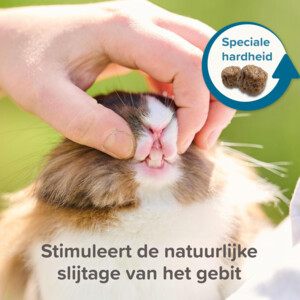 Beaphar Care+ Cavia - 39.95 euro