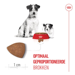 Royal Canin Hondenvoer Droog Mother & Baby Mini Starter 1 kg