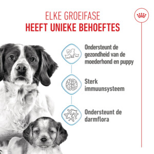 Royal Canin Hondenvoer Droog Mother & Baby Medium Starter 1 kg