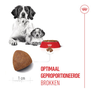 Royal Canin Hondenvoer Droog Mother & Baby Medium Starter 1 kg
