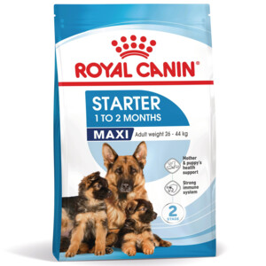 Royal Canin Hondenvoer Droog Mother & Baby Maxi Starter