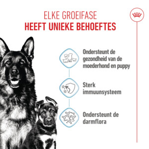 Royal Canin Hondenvoer Droog Mother & Baby Maxi Starter 4 kg