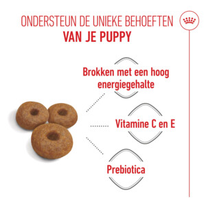 Royal Canin Hondenvoer Droog Mother & Baby Maxi Starter 4 kg
