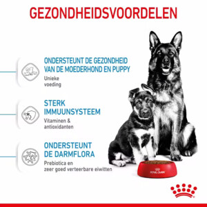 Royal Canin Maxi Starter Mother & Baby Hondenvoer 15 kg