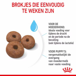Royal Canin Giant Starter Mother & Baby Hondenvoer 15 kg