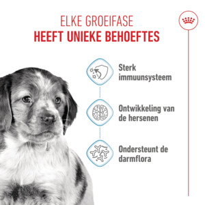 Royal Canin Hondenvoer Droog Medium Puppy 10 kg