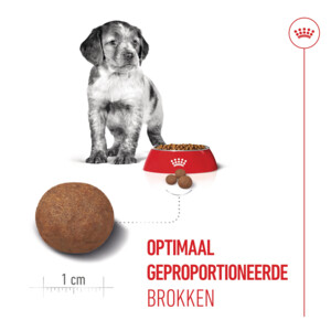 Royal Canin Hondenvoer Droog Medium Puppy 10 kg