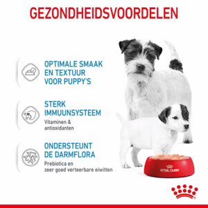 12x Royal Canin Mother & Baby Mousse Hondenvoer Nat 195 gr