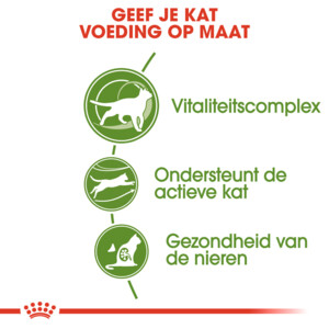 Royal Canin Kattenvoer Droog Outdoor 7+ 2 kg
