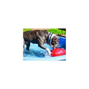 Jolly Pets Egg Rood 30 cm