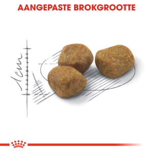 Royal Canin Kattenvoer Droog Indoor 7+ 1,5 kg