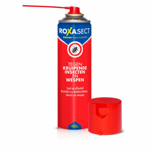 Roxasect Spuitbus tegen Kruipende Insecten en Wespen - 11.39 euro
