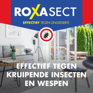 Roxasect Spuitbus tegen Kruipende Insecten en Wespen - 11.39 euro