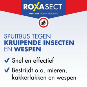 Roxasect Spuitbus tegen Kruipende Insecten en Wespen - 11.39 euro
