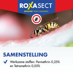 Roxasect Spuitbus tegen Kruipende Insecten en Wespen - 11.39 euro