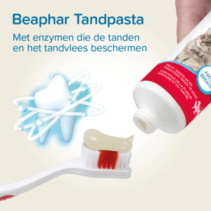 Beaphar Tandpasta Hond & Kat - 7.59 euro