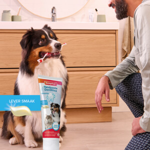 Beaphar Tandpasta Hond & Kat - 7.59 euro
