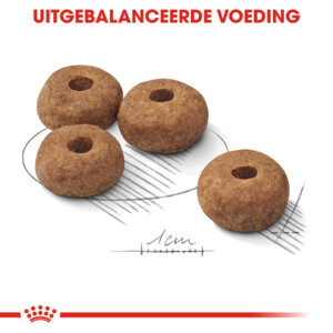 Royal Canin Hondenvoer Droog Sterilised Medium 3 kg