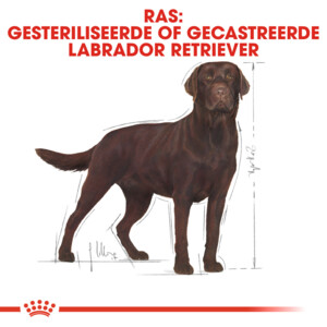 4x Royal Canin Hondenvoer Droog Labrador Retriever Sterilised 3 kg
