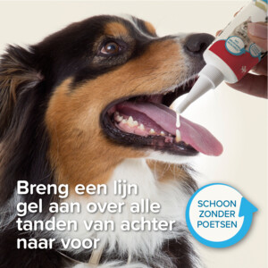 Beaphar Tandgel Hond & Kat - 6.79 euro