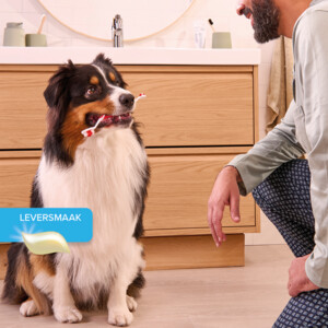 Beaphar Tandgel Hond & Kat - 6.79 euro