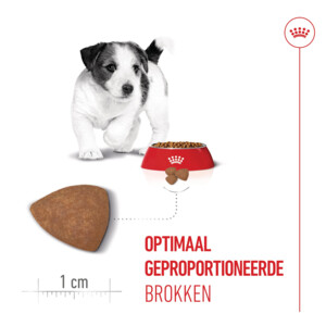 Royal Canin Hondenvoer Droog Mini Puppy 8 kg