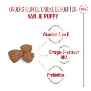 10x Royal Canin Hondenvoer Droog Mini Puppy 800 gr