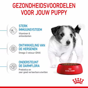 Royal Canin Puppy Hondenvoer Mini 4 kg