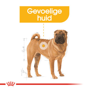 Royal Canin Hondenvoer Droog Dermacomfort Medium 3 kg