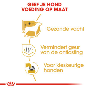 Royal Canin Hondenvoer Droog Maltese Adult 500 gr